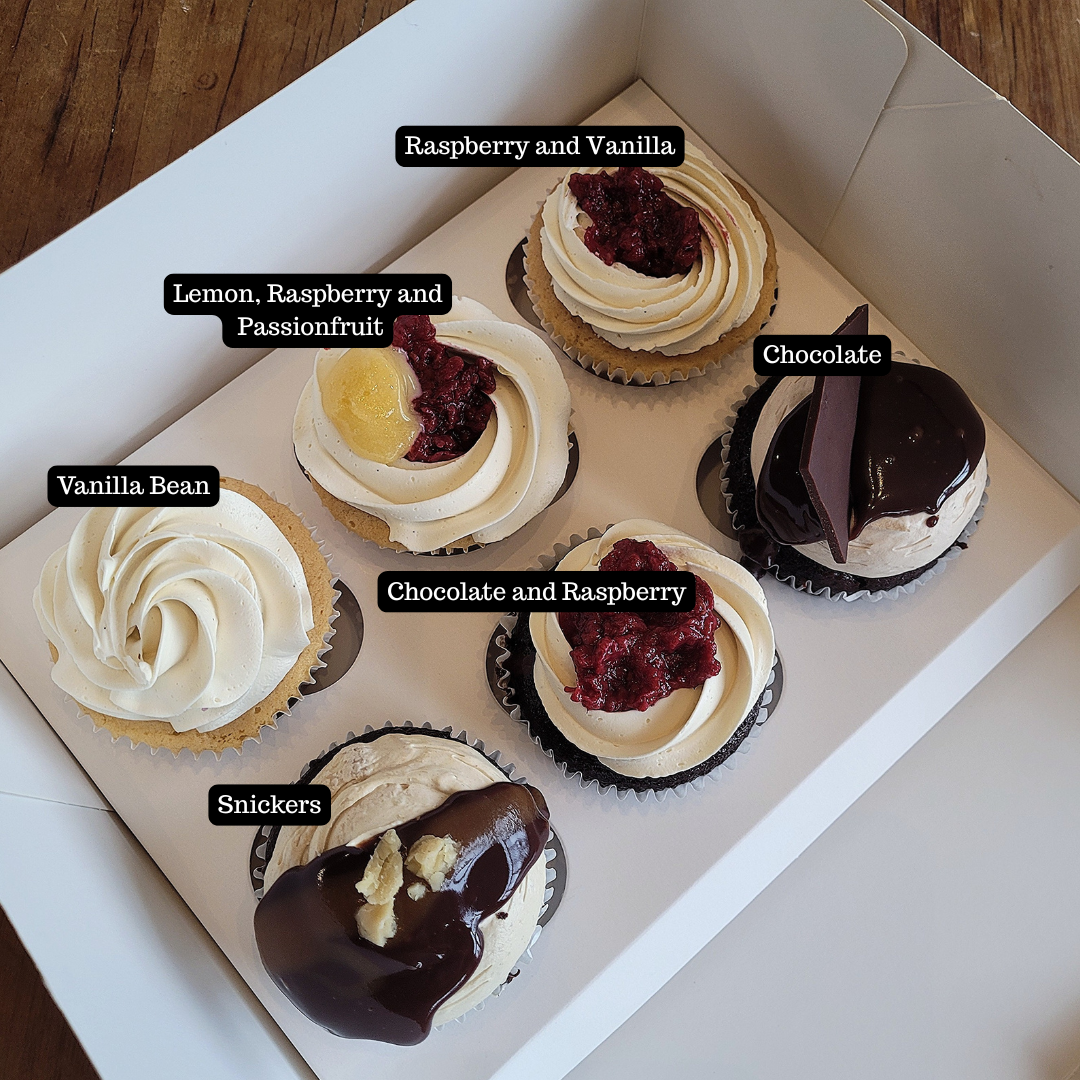 Classic Cupcake Box